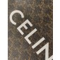 Celine Triomphe Cabas Small Bag
