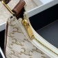 Celine Ava Bag in Triomphe Canvas and Calfskin 