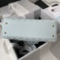 Chanel Medium Coco Handle Bag-Light blue