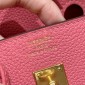 Hermes Birkin 25 / Birkin 30  in Togo Leather-Rose lipstick