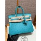 Pre-ordered Birkin 25 / 30  in Ostrich Leather- Bleu De Nord