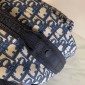DiorTravel Backpack