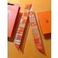 Hermes Silk Twilly 