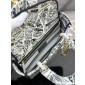 Christian Dior Medium Lady D-Lite Bag 