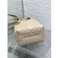 Small Dior Toujours Vertical Tote Bag-Powder beige