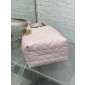 Small Dior Toujours Vertical Tote Bag-Pale pink