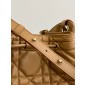 Dior Medium D-Motion Bag-Light gold tone