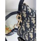 Medium Diortravel Normad Pouch
