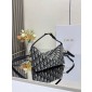 Medium Diortravel Normad Pouch